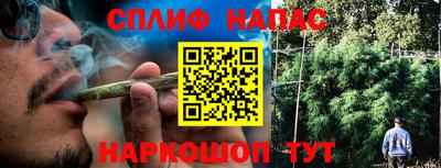 гашик Кинель