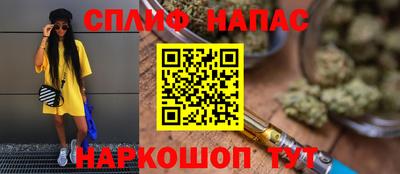 гашик Кинель